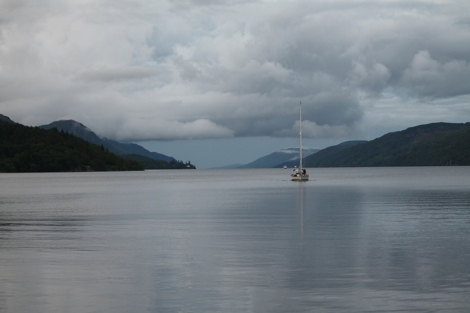 Loch Ness monster might just be a giant eel, say scientists 